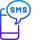 Bulk SMS Service Provider in Delhi